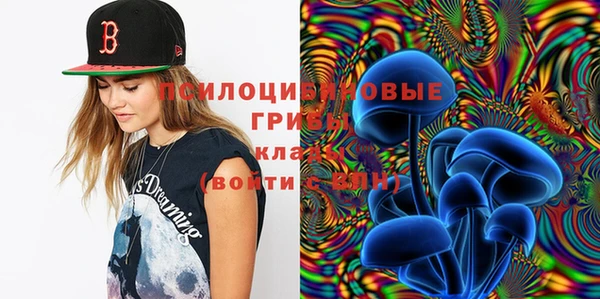 шишки Пестово